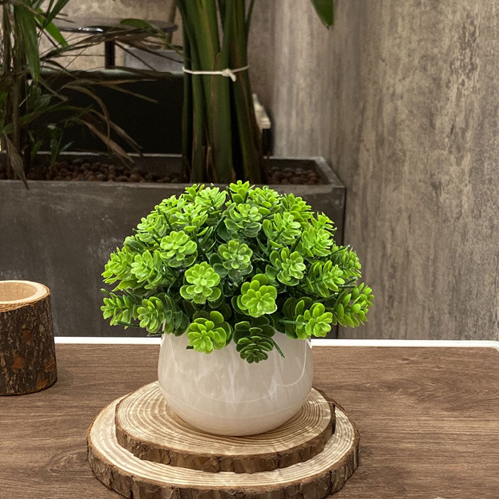 Gerçekçi Sahte Bonsai Yapay Sa - Bonsai Garden And Cafe incelemesi ve fiyatı