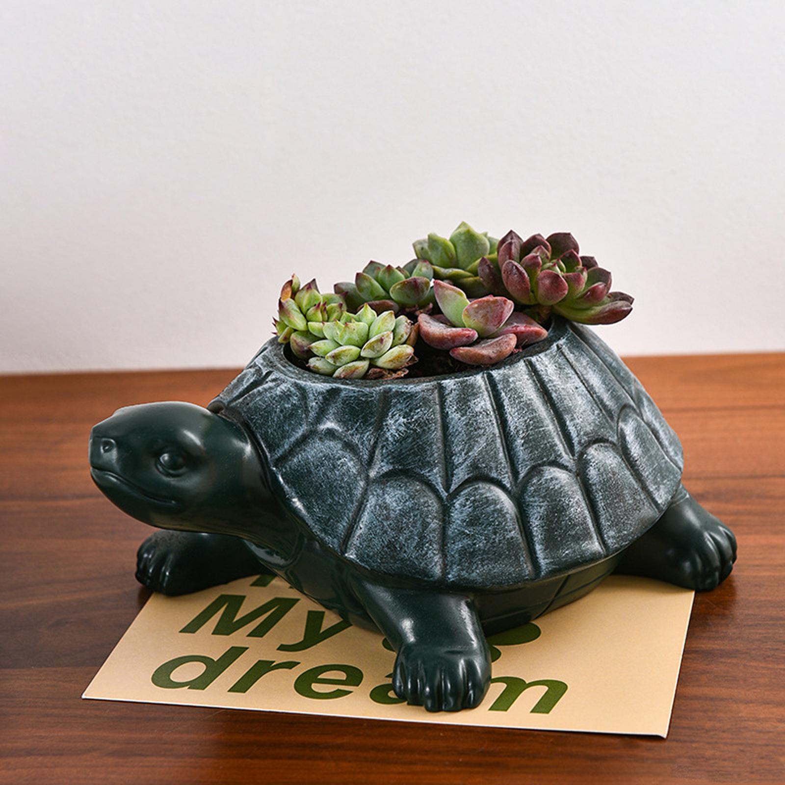 Kaplumbağa saksı saksı koleksi - Bonsai Garden And Cafe incelemesi ve fiyatı